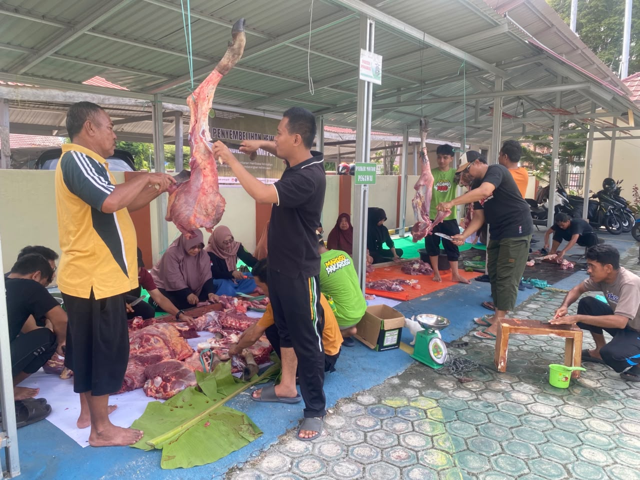 penyembelihan hewan qurban 2026 3