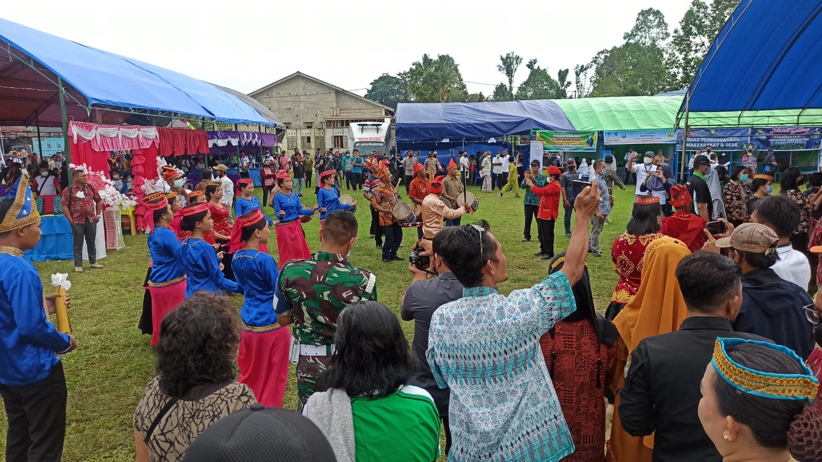 bunga desa pandayora