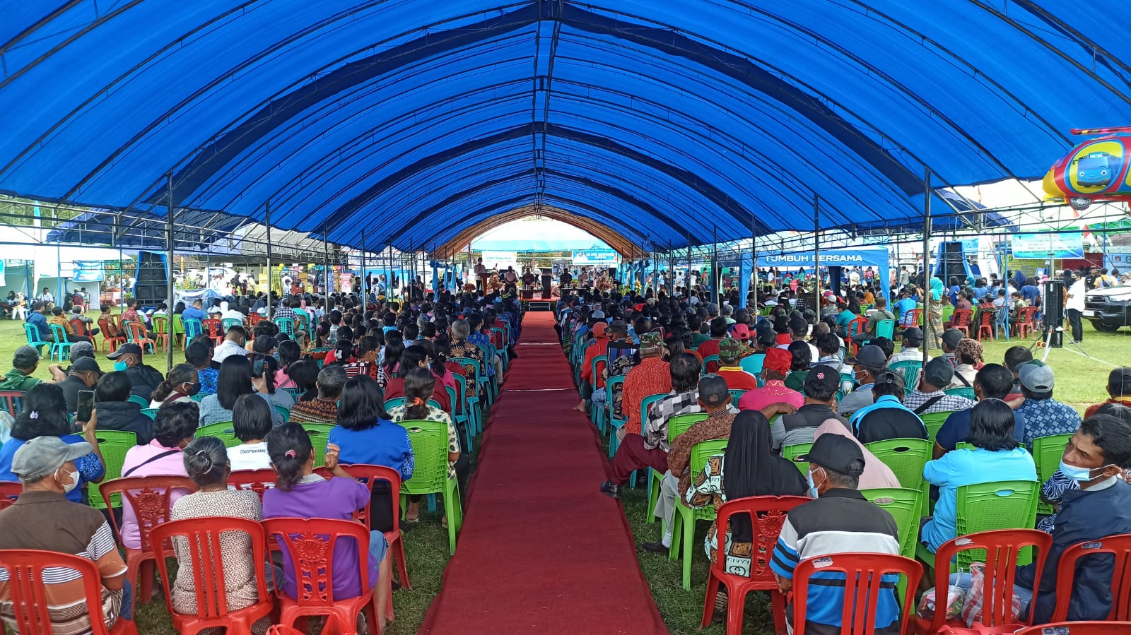 bunga desa pandayora